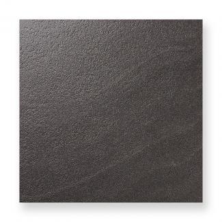 �ʥ�����Ĵ�������� 600��ʿ ���� �֥�å���(42)