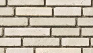 �к�:�����ȷϿ�¤�� �������ܡ����� ʿ �饤�ȥ��졼��(53204KTN)