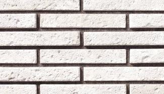 �к�:�����ȷϿ�¤�� �������ܡ����� ʿ �ۥ磻�ȷ�(53206KTN)