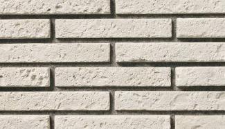 �к�:�����ȷϿ�¤�� �������ܡ����� ʿ �饤�ȥ��졼��(53209KTN)