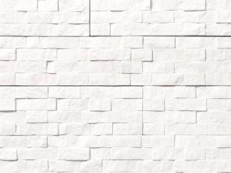 �к�:�����ȷϿ�¤�� �ϥĥ�ܡ������к��� ʿ���ȡ��� �ۥ磻�ȷ�(53215KTN)