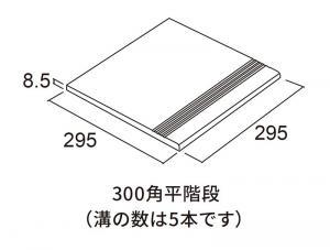 ʪ ǥեII 300ʿ(11)