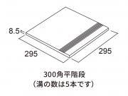 ʪ ǥեII 300ʿ(12) (53324FGY)