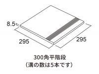 ʪ ǥեII 300ʿ(12) (53324FGY)