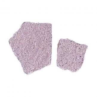 �⥶���������� ����å��奿���� ���(̵��) [��Ž��] ��:CRU-10S