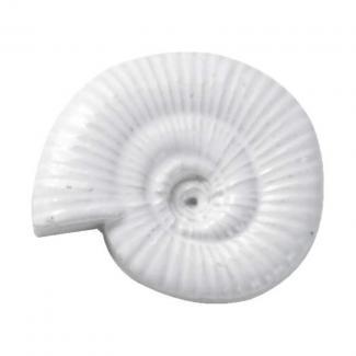 �֥��ɥ�����:�⥶���������� ����å��奿���� �۷���������ȥ����� ��:CRP-2(54139NMK)