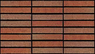 �֥��ɥ�����:�˥å������� ���ɥ����� �֥ꥶ���ɥܡ�����200 �ܡ����� ZR-200-RR(54697NTK)