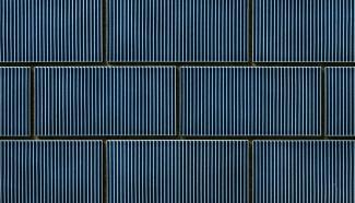 �֥��ɥ�����:���������� ������ 200��100��ʿ 5(54954SUG)