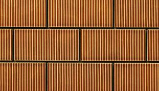 �֥��ɥ�����:���������� ������ 200��100��ʿ 6(54955SUG)