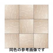 ˥å Ĵ ꥹƥII  ʿ(1200600) ᤭ JC2-126-230 (55021NTK)