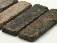 ڥץ ͭ 饤 ȥ ¦Τ (55100XXX)