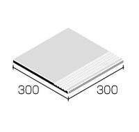 ˥å ʪ ޡII  ճ300 RN-30K-05 (55463NTK)