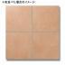 :ƥ饳åĴ 300ʿ  ֥饦(8)(55545KTN)