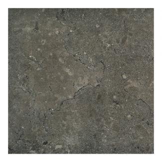 �֥��ɥ�����:����ȡ�������(Danto) �������� �饴�� 600��ʿ LAG-103/600(55624DTT)