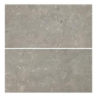 �֥��ɥ�����:����ȡ�������(Danto) �������� �饴�� 600��300ʿ LAG-102/600X300(55627DTT)