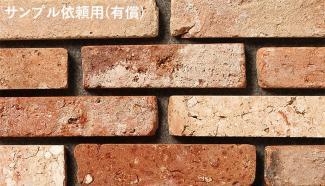 󥬡ǥ˥:ڥץ ͭ 饤 ȥ ⳰ߥå(55659XXX)
