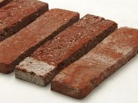 ڥץ ͭ 饤 ơȥͥ ¦Τ (55660XXX)