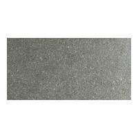 ȡ(Danto)  ƥ 600300ʿ MET-103/600X300 (55684DTT)