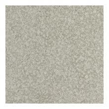ȡ(Danto)  ƥ 300ʿ MET-101/300 (55688DTT)