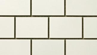 �֥��ɥ�����:���������� ���� 150��100��ʿ �֥饤���� 1(55821SUG)