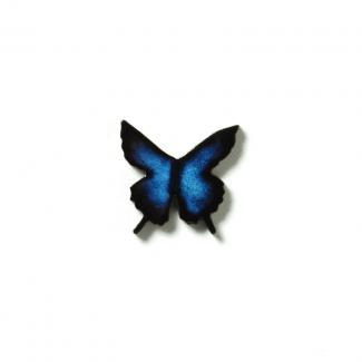 ⥶:ǥϥɥᥤɥ ĳ(55858TKS)