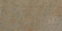 &ɥ  600300ʿ<å> :D24 (56034ACR)