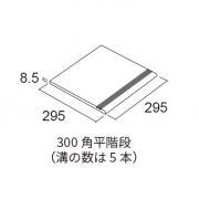 &ɥ  300ʿ :D23 (56051ACR)