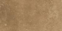 &ɥ 쥤 600300ʿ<å> :D62 (56097ACR)