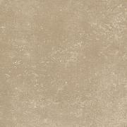 &ɥ 쥤 300ʿ :D61 (56106ACR)