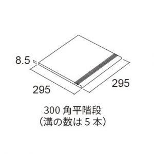 &ɥ 쥤 300ʿ :D60
