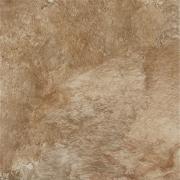 ��&�ɥ����� �����˥� 600��ʿ<����å�> ��:D92 (56134ACR)