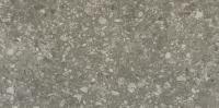 &ɥ II 600300ʿ<å> :D43 (56153ACR)
