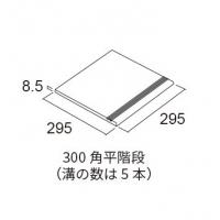 &ɥ ʥХ 300ʿ :D81 (56191ACR)
