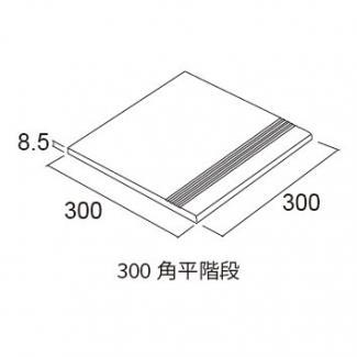 �֥��ɥ�����:�������� �ޥǥ����󡦥��쥯�� 300��ʿ���� ��:10(56239ACR)