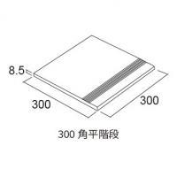  ޥǥ󡦥쥯 300ʿ :87 (56244ACR)
