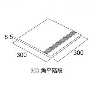  ޥǥ󡦥쥯 300ʿ :21