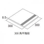 �������� �ޥǥ����󡦥��쥯�� 300��ʿ���� ��:27 (56255ACR)