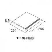  ƥ 300ʿ :53 (56339ACR)