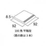 ꡼󥦥åIII 100ʿ :08 (56381ACR)