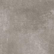  ƥꥢ쥯() 600ʿ :D63 (56454ACR)