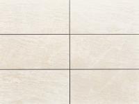 �ɥ����� �����Х󥰥��� 447��219.5ʿ ��:D21 (56506ACR)