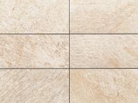 �ɥ����� �����Х󥰥��� 447��219.5ʿ ��:D22 (56507ACR)