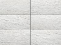 �ɥ����� �����Х󥰥���<���ȡ��󥹥�����> 447��219.5ʿ ��:D151 (56527ACR)