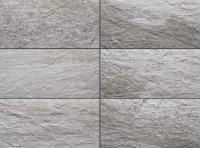 �ɥ����� �����Х󥰥���<���ȡ��󥹥�����> 447��219.5ʿ ��:D153 (56529ACR)