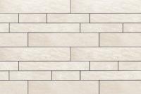 �ɥ����� �����Х󥰥��ɥܡ����� �ܡ�����ʿ��˥å� ��:D21 (56539ACR)