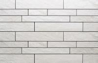 �ɥ����� �����Х󥰥��ɥܡ�����<���ȡ��󥹥�����> �ܡ�����ʿ��˥å� ��:D151 (56549ACR)