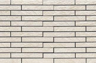 �֥��ɥ�����:�ɥ����� �쥯���� �ܡ�����ʿ��˥å� ��:02(56571ACR)