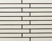 �ɥ����� �ܥ�� �ܡ�����ʿ��˥å� ��:50M (56697ACR)