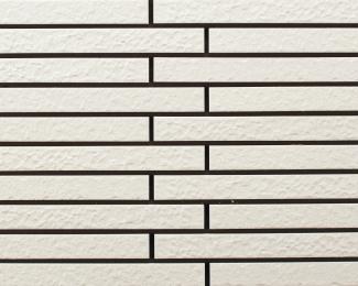 �֥��ɥ�����:�ɥ����� �ܥ�� �ܡ�����ʿ��˥å� ��:50M(56697ACR)