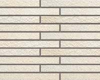 �ɥ����� �ܥ�� �ܡ�����ʿ��˥å� ��:51M (56698ACR)